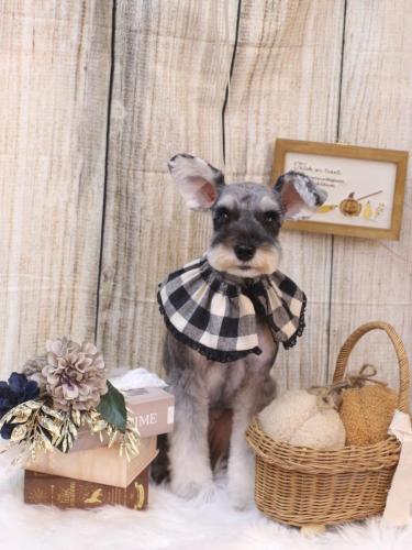 20241022むぎちゃん